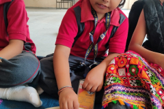 IMG_20241009_115542-scaled