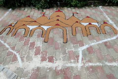 IMG_20241029_135914-scaled